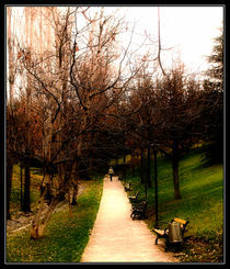 Ankara garden von Roberto Giobbi