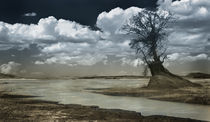Lagoon with Tree by Cesar Palomino