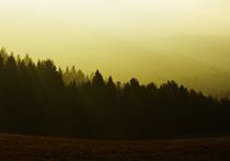 Autumn morning mist von Miro Polca