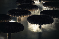 Fungus fountain by kaotix