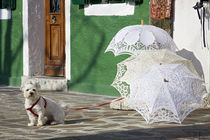The guardian of the umbrellas by Raffaella Lunelli