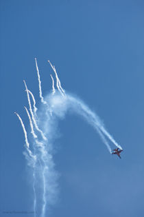 Aerobatics Sky show, 8567