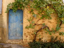 Provence Door 5 by Lainie Wrightson