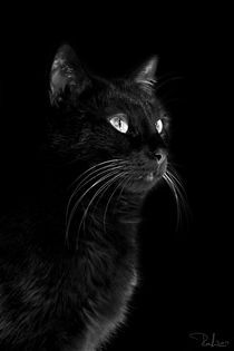 Black portrait von Raffaella Lunelli
