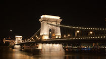 Bridge in Budapest by Victoria Savostianova
