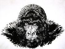 Gorilla by Caglar Engin