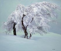 Winter by Caglar Engin