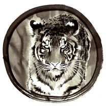 Tiger by Caglar Engin