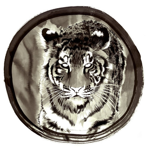 Tiger-2010