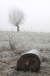 Kopfweiden bei Frost und Nebel 26 von Karina Baumgart