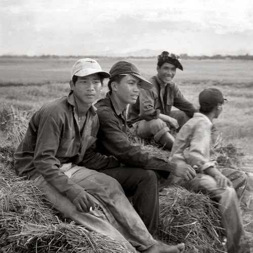 Young-rice-farmers
