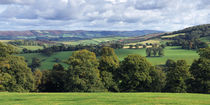 Quantock Hills Panorama, Somerset, England von Craig Joiner