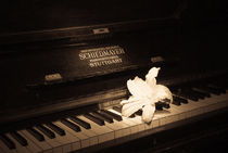 Lily on an ancient piano von Victoria Savostianova