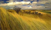 Iowa Prairie Grasses by Randy Sprout