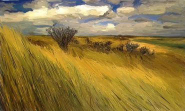 Iowa-prarie-grasses
