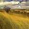Iowa-prarie-grasses