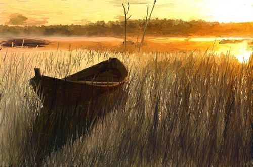 Wooden-boat-in-the-reeds
