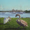 Painting-swans-christchurch-flat