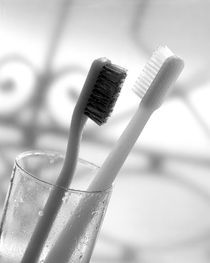 The toothbrushes by Vito Magnanini