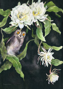 Night-Blooming Cereus  by Hsi Tan Cheng