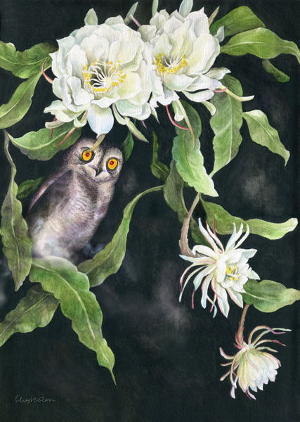 Owl-and-night-cereus-for-artflakes