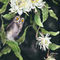 Owl-and-night-cereus-for-artflakes