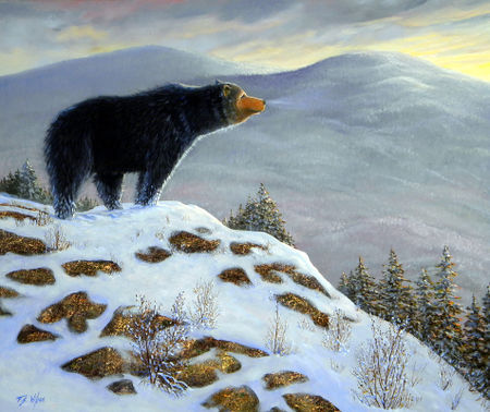 Last-look-black-bear