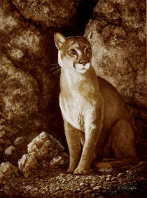 Cougar Wait Until Dark von Frank Wilson