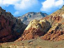 Calico Basin Nevada by Frank Wilson