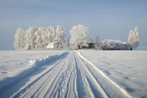 Land(wirt)schaft im Winter by Michael S. Schwarzer