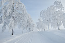 Winter in Norwegen by Michael S. Schwarzer