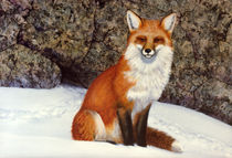 The Wait Red Fox von Frank Wilson