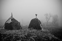 foggy winter day by Dragos Malaescu