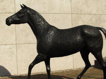 Mariano Marini. Horse . Getty Museum von Maks Erlikh
