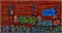 Graffiti. Signs on Walls. Bronx. NY von Maks Erlikh