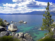 Deep Waters Lake Tahoe  by Frank Wilson