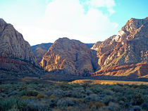 Desert Canyon by Frank Wilson