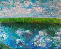 Zen of the Everglades by Zolita Sverdlove
