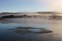 Misty morning at Yellowstone by Johan Elzenga