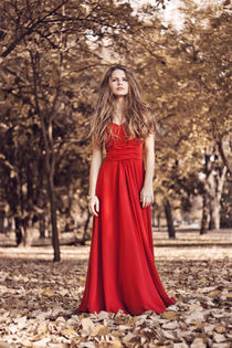 Crimson Queen by Andreea Iancu