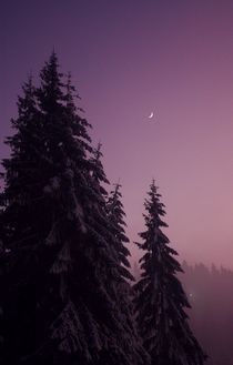 Good night moon by Andreea Iancu
