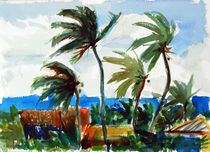 Palm Trees von Zolita Sverdlove