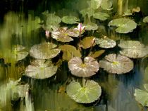 Lotus Pond 3 by Usha Shantharam