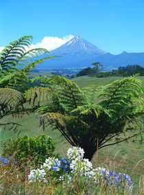Mt.Egmont Taranaki New Zealand by Kevin W.  Smith