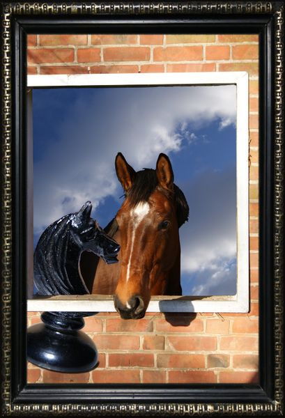 Precious-horse-framed