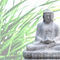 20111229-dsc-0154-edit-buddha-bokeh-gras