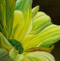 Chrysanthemum von Steven Guy Bilodeau