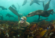 Freediver and a seal