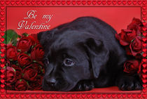 Labrador valentine card by Waldek Dabrowski