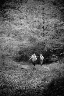 Forest Delight by Sheona Hamilton-Grant